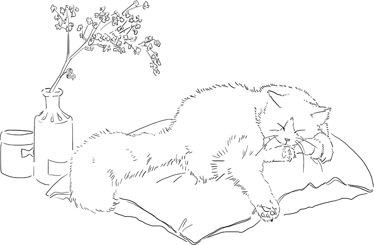 flowの猫イラスト