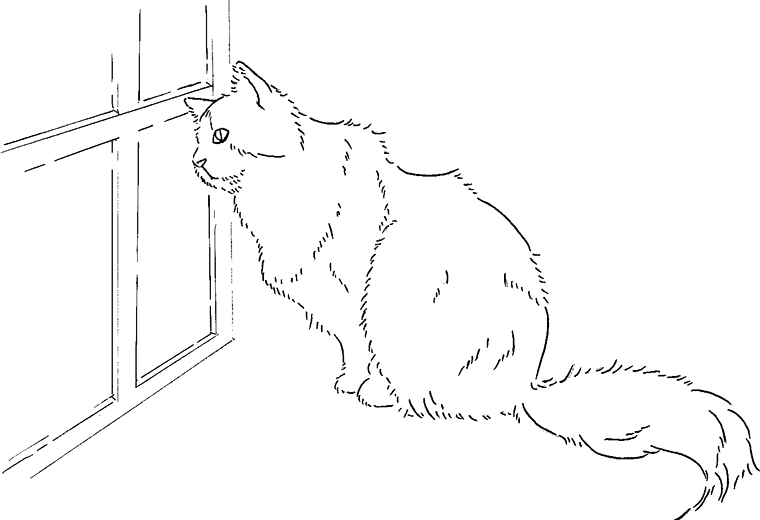 猫のイラスト