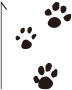 ページトップヘ戻る